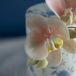 
                  
                    Load image into Gallery viewer, A close up on the light pink sugar orchid. The middle of the orchid has a darker pink that gradients into white on the outside.
                  
                