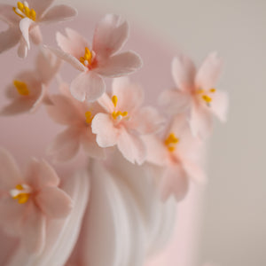 
                  
                    Load image into Gallery viewer, A close up shot of the edible sakura flowers. The flowers are dainty and small, with yellow details that resemble pollen.
                  
                