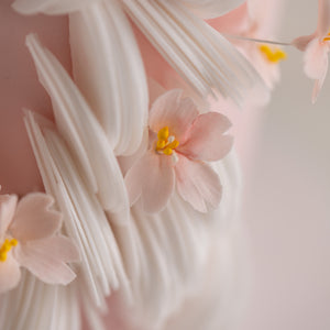 
                  
                    Load image into Gallery viewer, A close up shot of the edible sakura flowers. The flowers are dainty and small, with yellow details that resemble pollen.
                  
                
