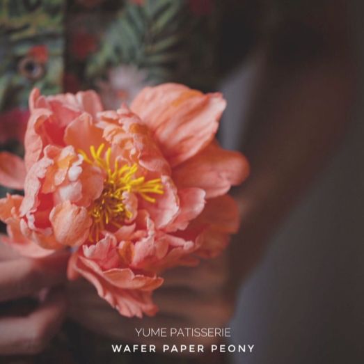 
                  
                    Load image into Gallery viewer, Masterclass: Edible Peony Wafer Flowers
                  
                